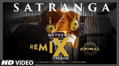 Animal: Satranga (Remix) Ranbir Kapoor, Rashmika, Arijit Singh, Shreyas, Siddharth-Garima, DJ Rink