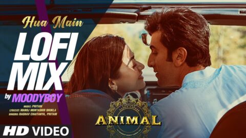 Hua Main (LO-FI MIX): DJ Moody | Ranbir Kapoor, Rashmika | Raghav Chaitanya | Sandeep Vanga | Animal