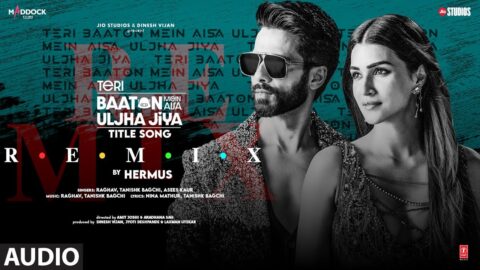 Teri Baaton Mein Aisa Uljha Jiya (Remix) (Audio) by Hermus | Shahid K,Kriti,Raghav,Tanishk,Asees