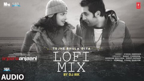 Tujhe Bhula Diya (Lo-Fi) (Audio): Ranbir Kapoor,Priyanka Chopra |Mohit Chauhan,Vishal-Shekhar|DJ Rik