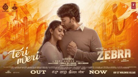 ZEBRA: Teri Meri (Hindi) (Audio) Satya Dev, Priya Bhavani Shankar |Ravi Basrur,Airaa,Santhosh,Deepak